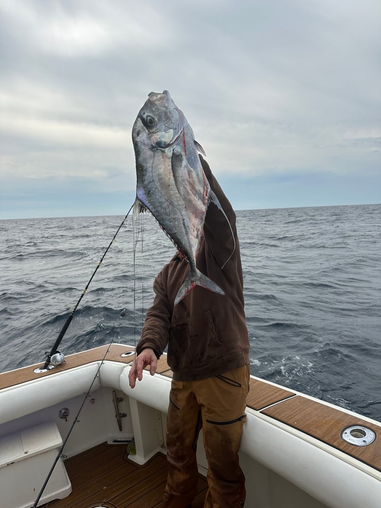 6 Hour Offshore In Destin