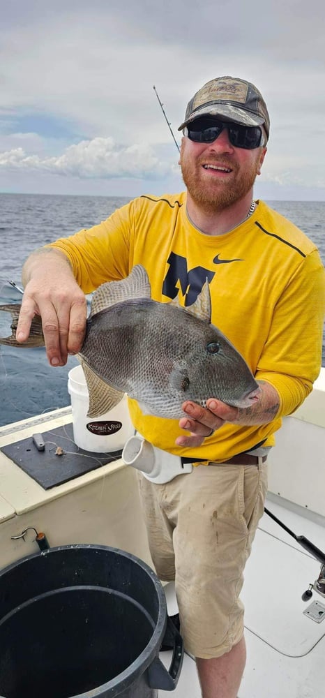 6 Hour Offshore In Destin