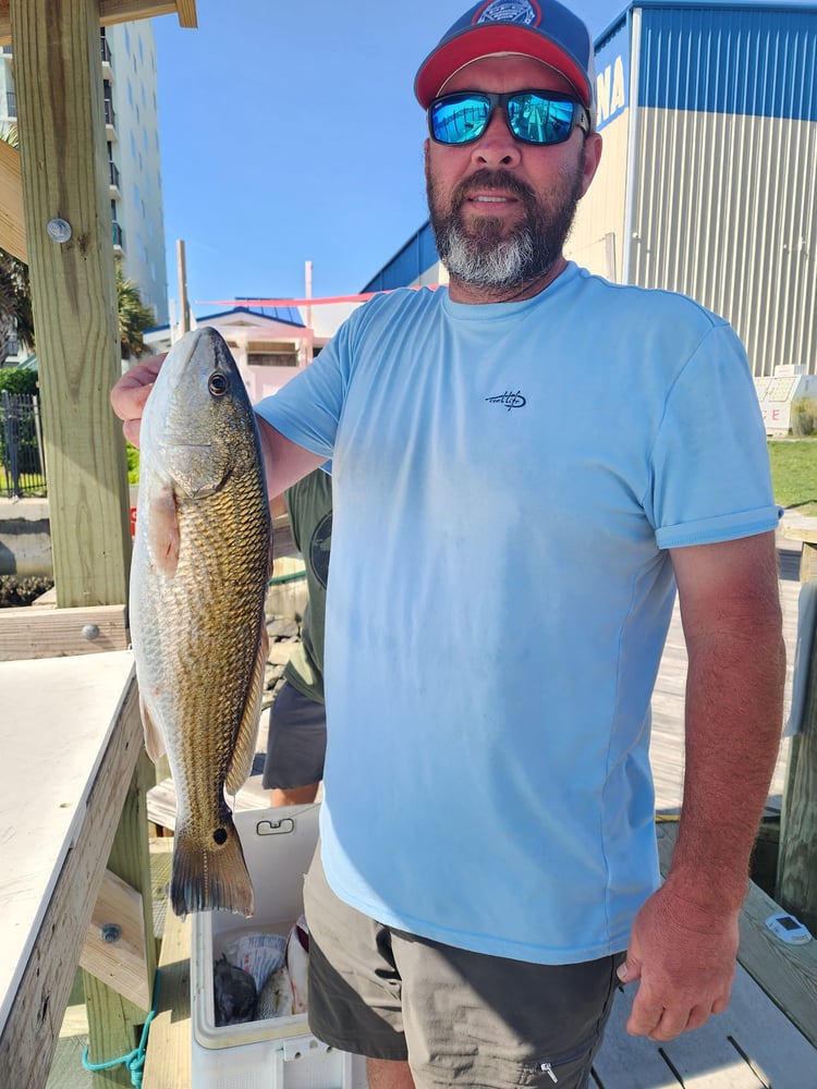 Morehead City Inshore/Nearshore Trip In Morehead City