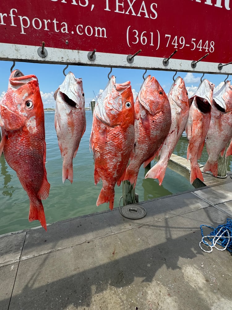 8hr Offshore Amber Jack In Port Aransas