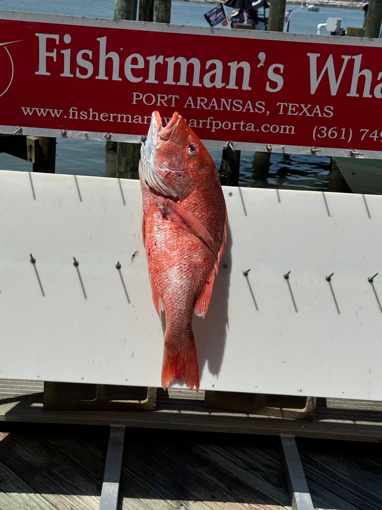 12 Hour Offshore In Port Aransas