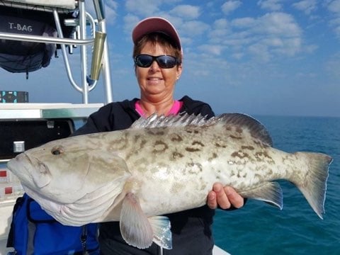 SWFL Inshore Trip In Captiva