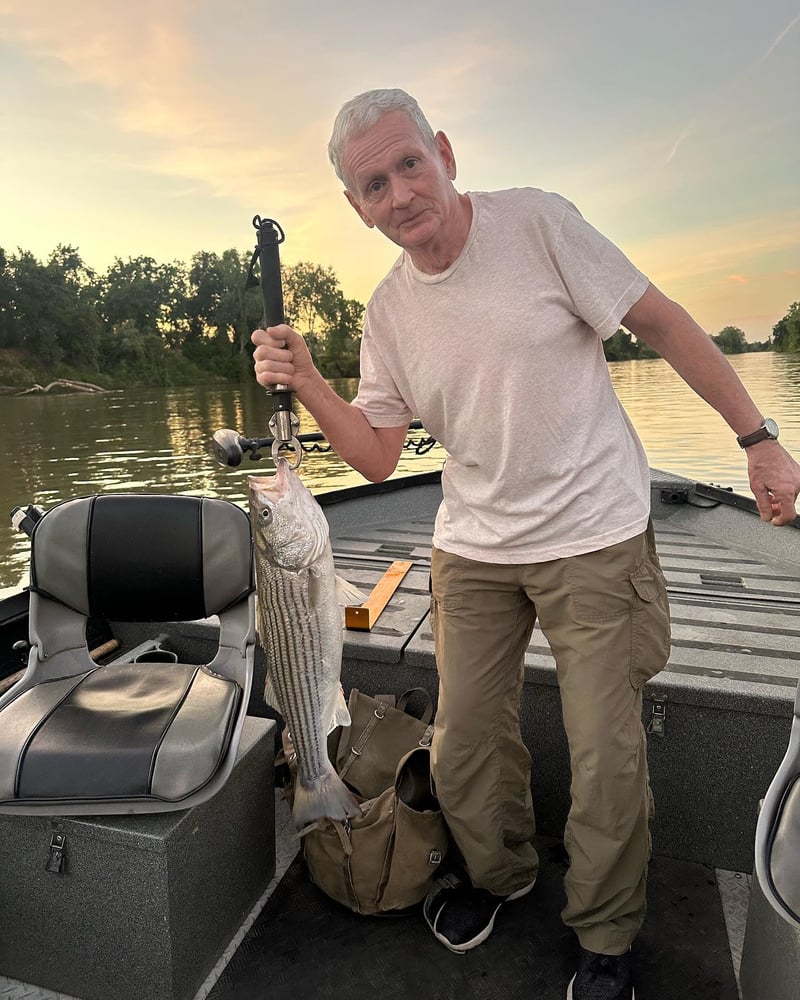 Sacramento River Striper Trip In Corning