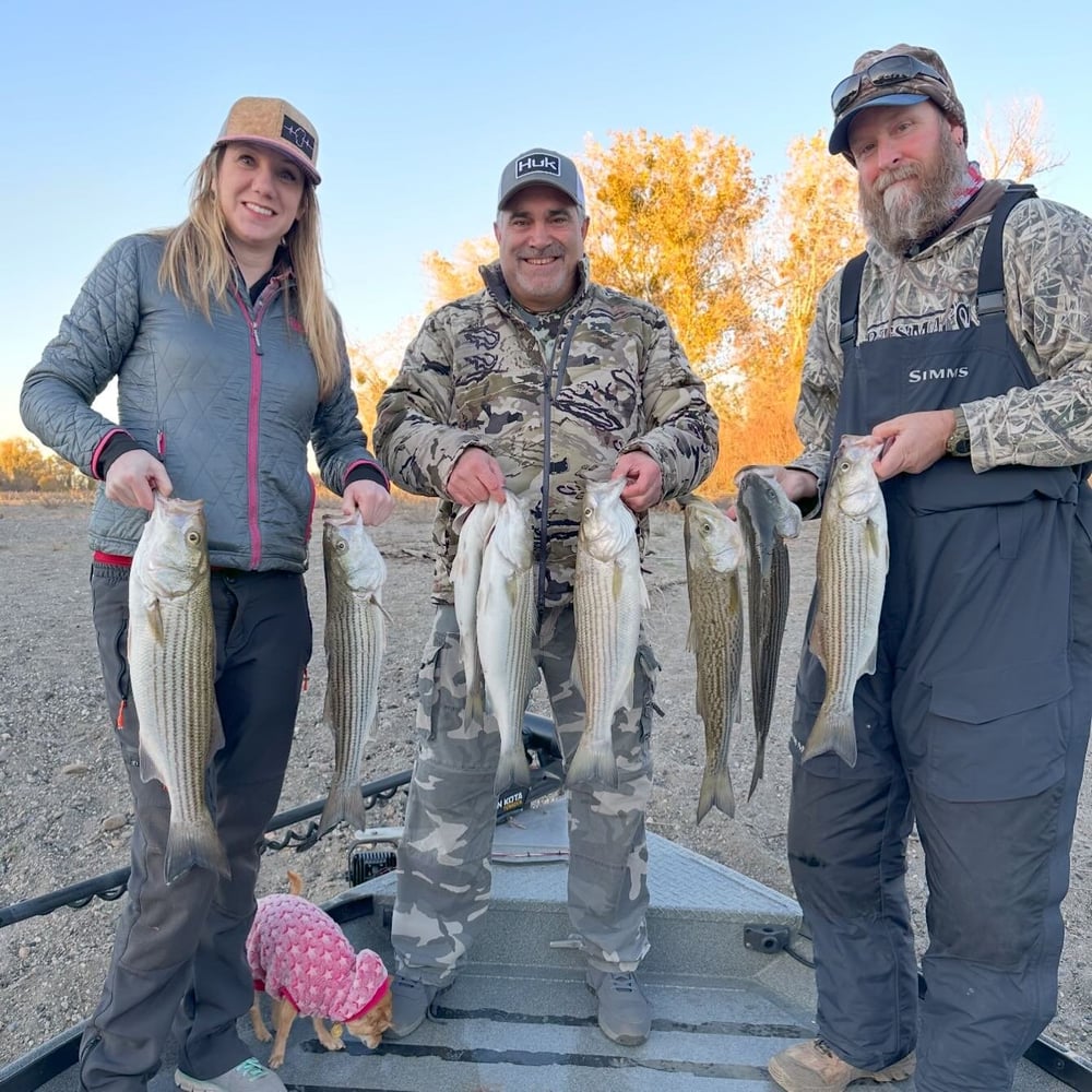 Sacramento River Striper Trip In Corning