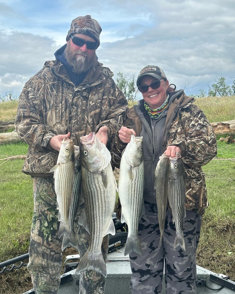 Sacramento River Striper Trip In Corning