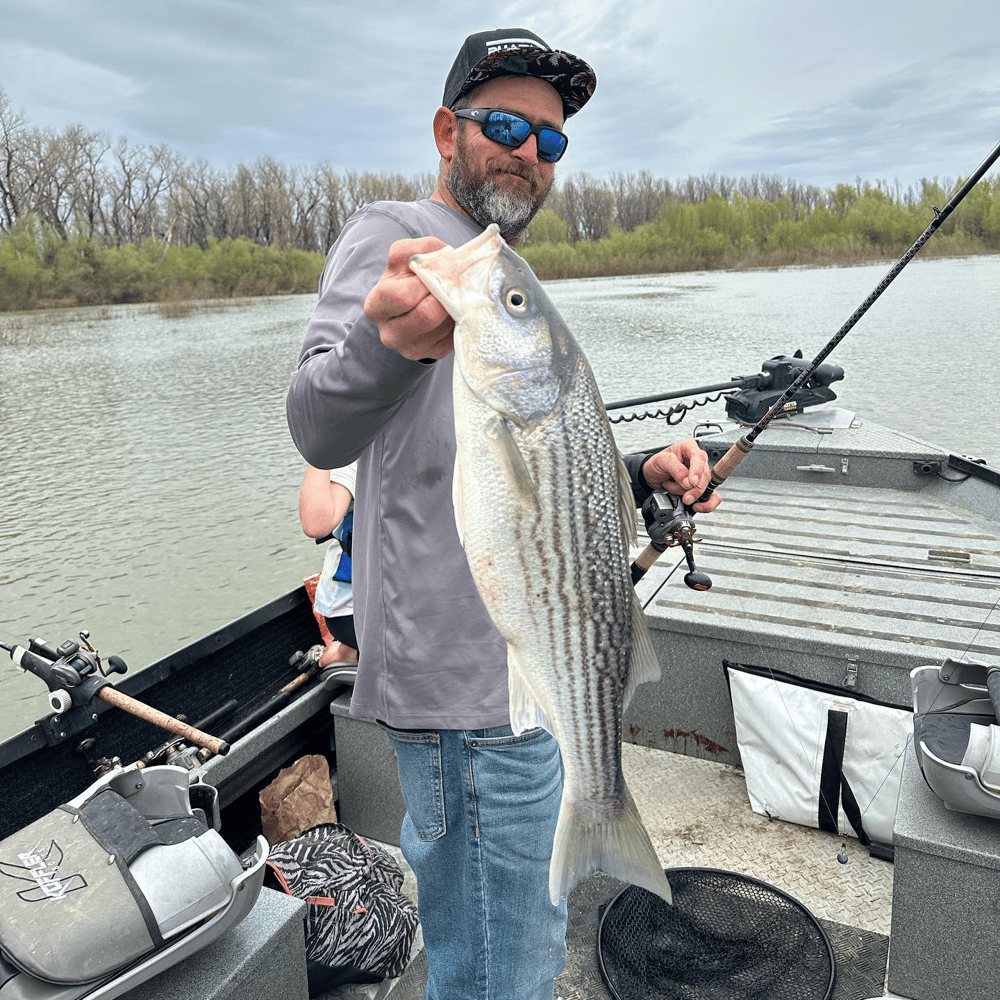 Sacramento River Striper Trip In Corning