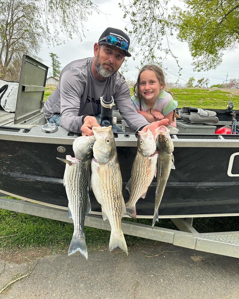 Sacramento River Striper Trip In Corning