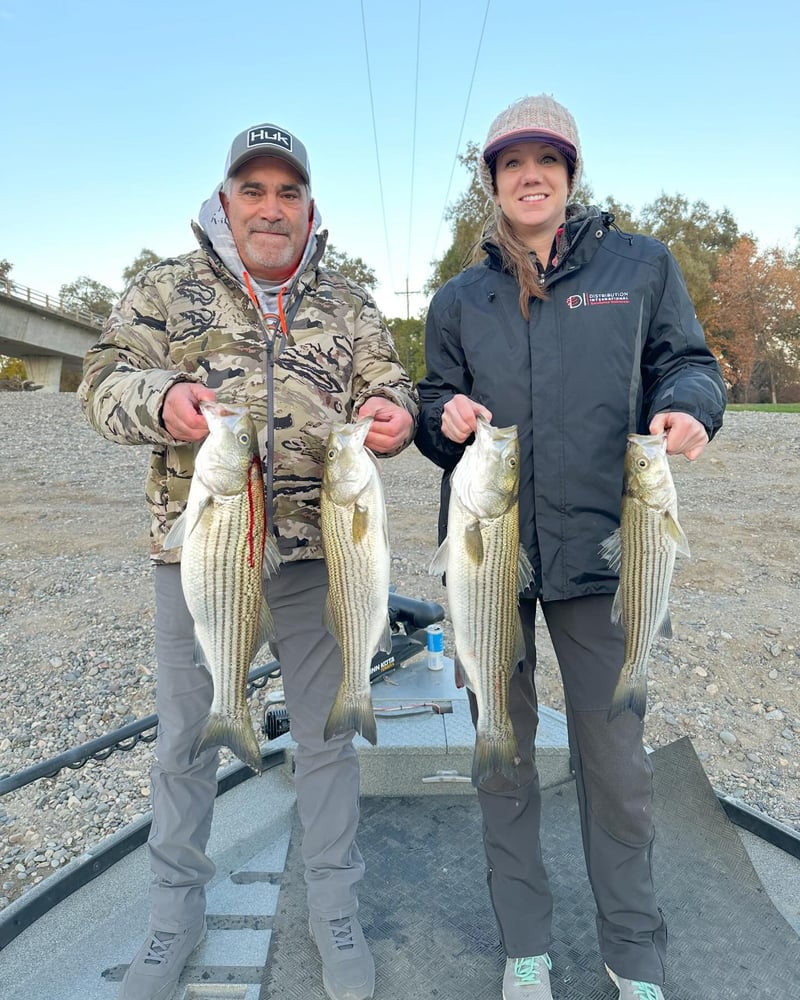 Sacramento River Striper Trip In Corning