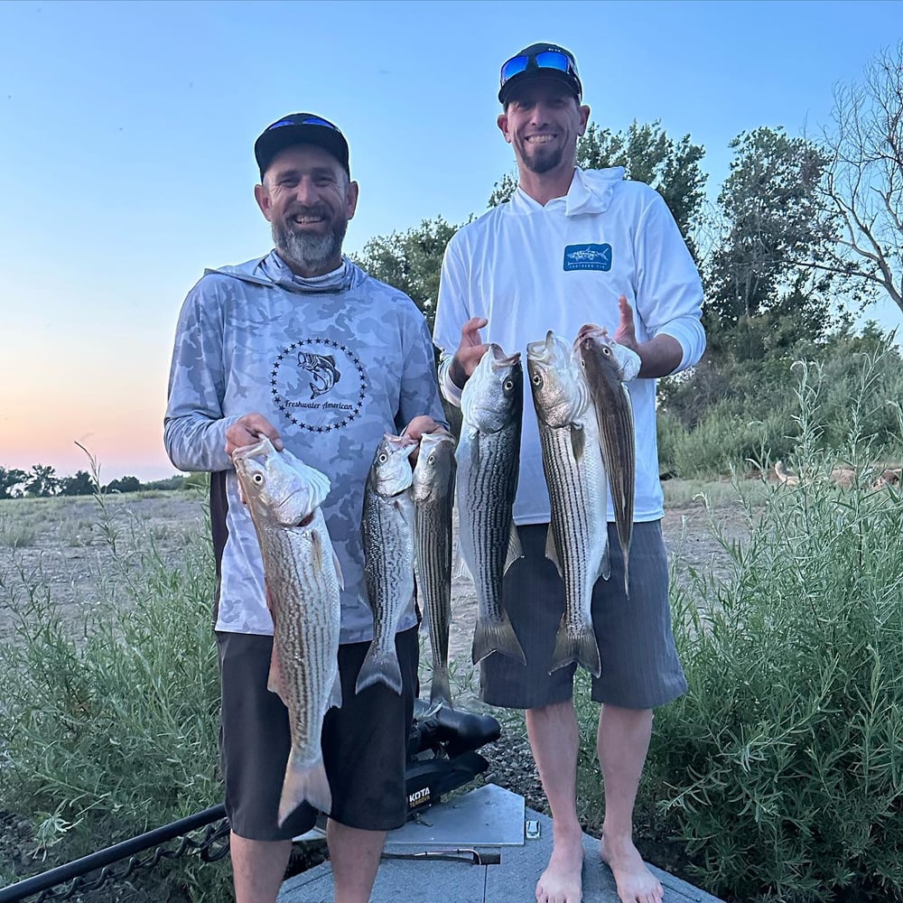 Sacramento River Striper Trip In Corning