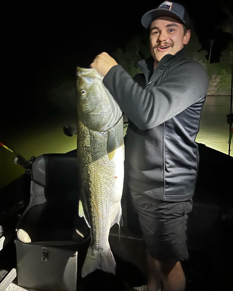 Sacramento River Striper Trip In Corning