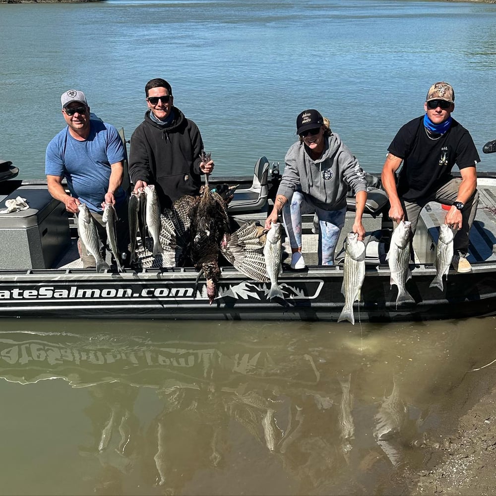 Sacramento River Striper Trip In Corning