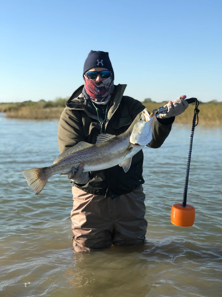 Galveston Bay: Wade Fishing Trip In Galveston