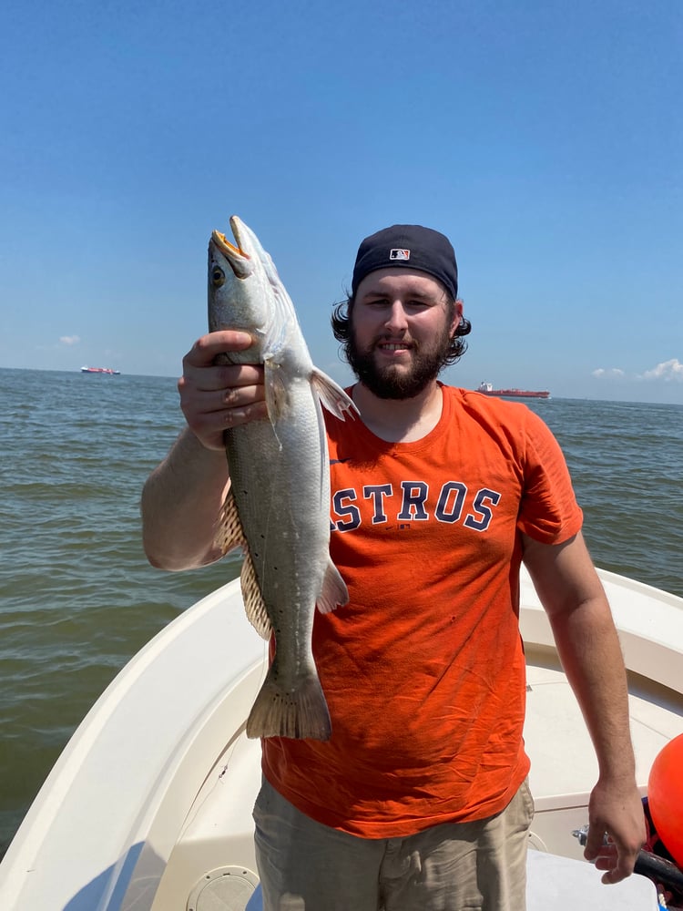 Galveston Bay: Wade Fishing Trip In Galveston