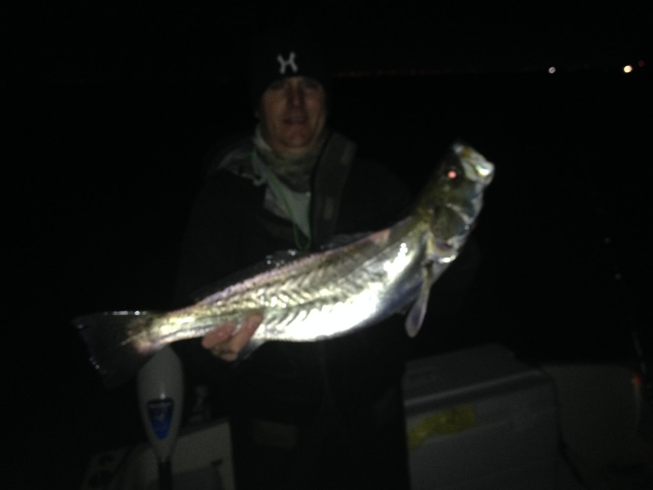 Galveston Bay: Wade Fishing Trip In Galveston