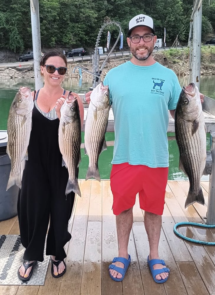 Lake Cumberland Striper Trip In Albany