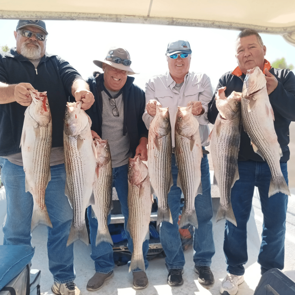 Lake Cumberland Striper Trip In Albany