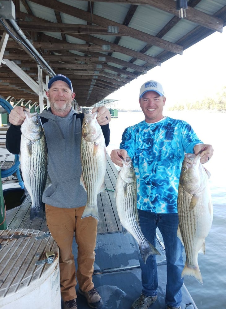 Lake Cumberland Striper Trip In Albany