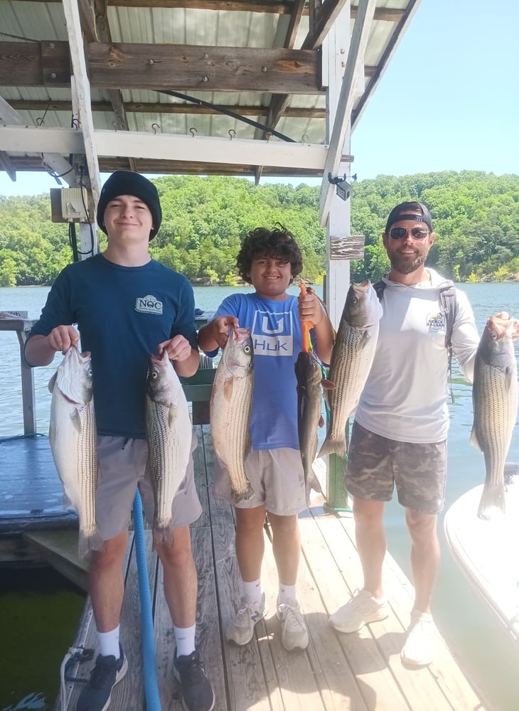 Lake Cumberland Striper Trip In Albany