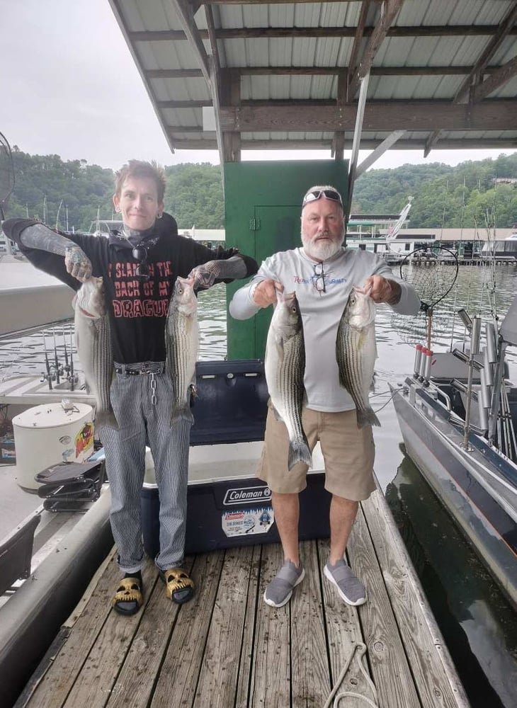 Lake Cumberland Striper Trip In Albany