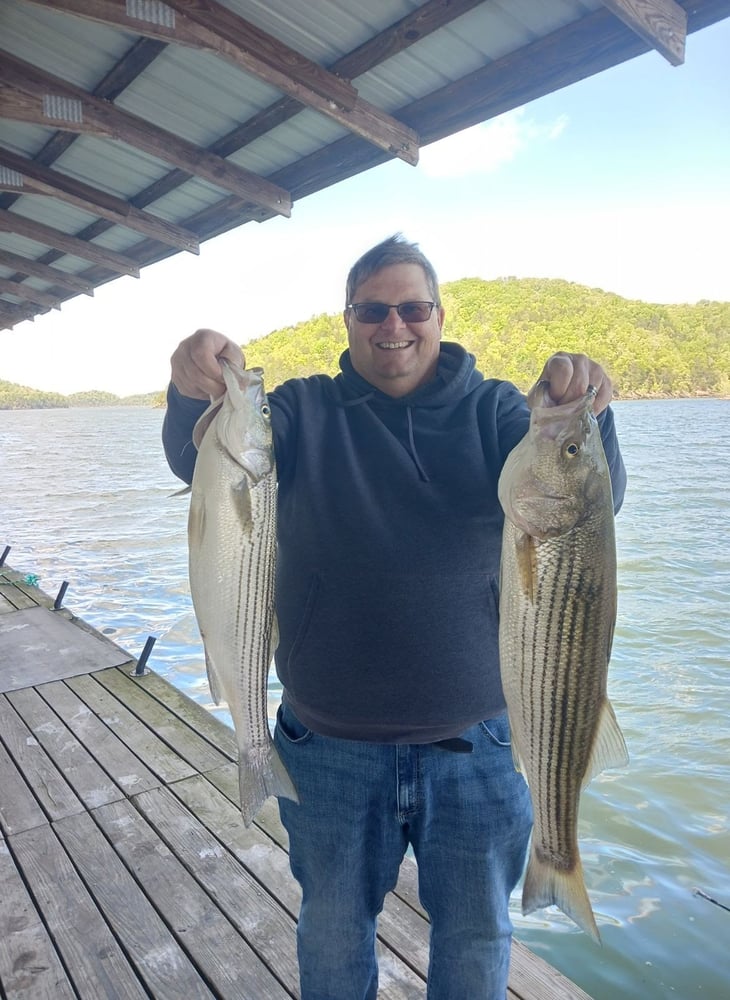 Lake Cumberland Striper Trip In Albany