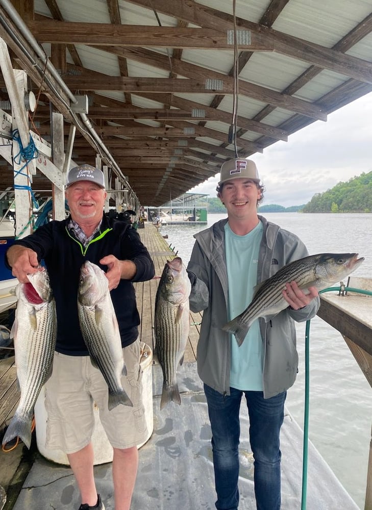 Lake Cumberland Striper Trip In Albany