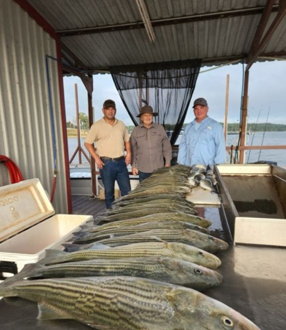 4hr  Afternoon Striper In Madill