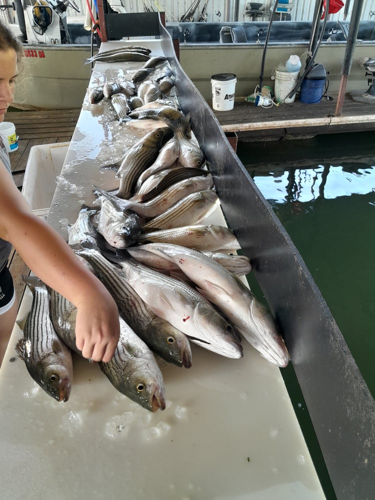 4hr  Afternoon Striper In Madill