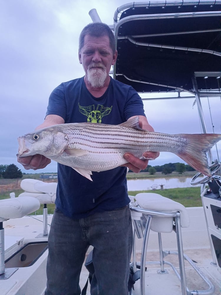 4hr  Afternoon Striper In Madill