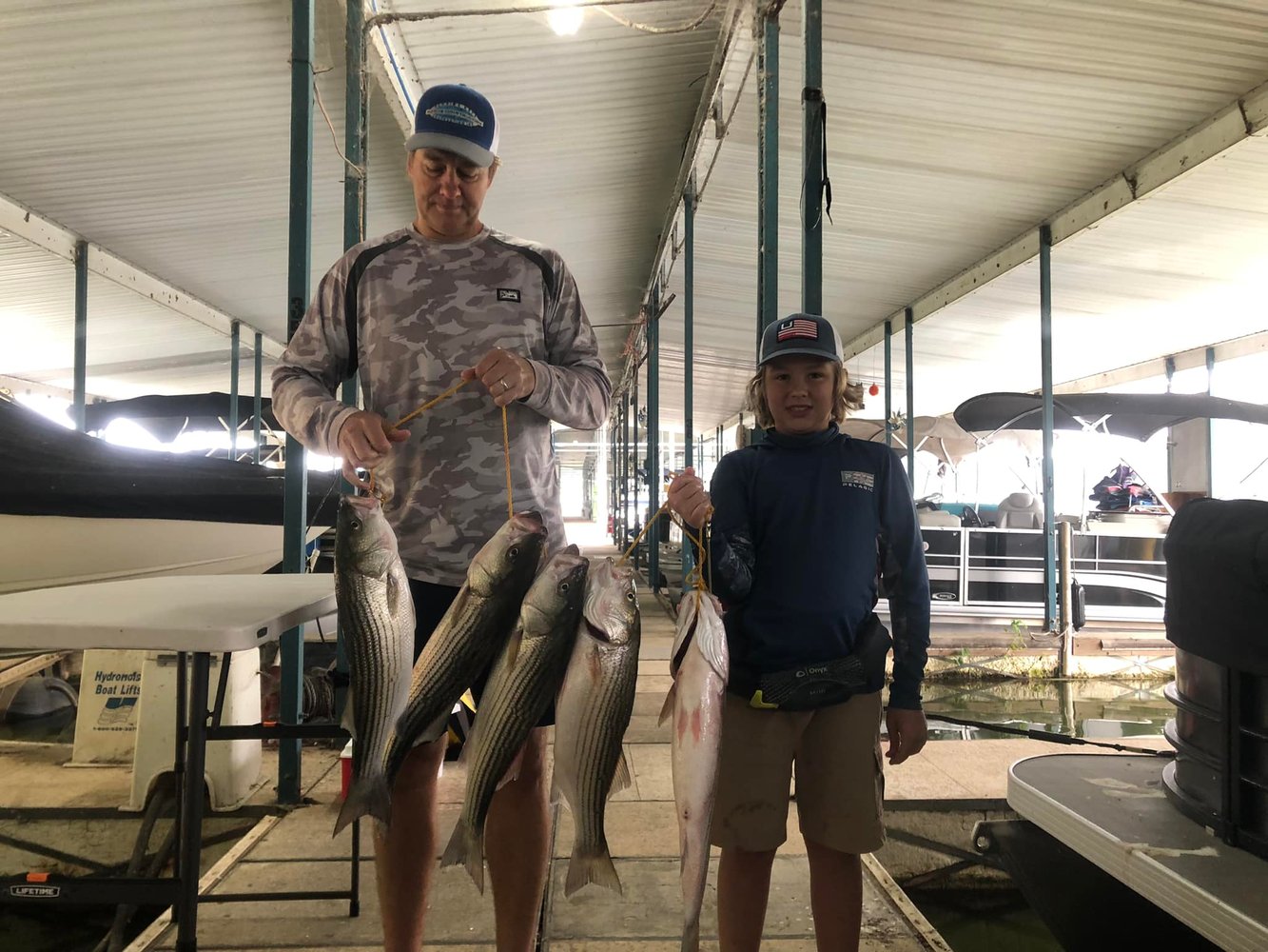 East Lake Cumberland Striped Bass In Bronston