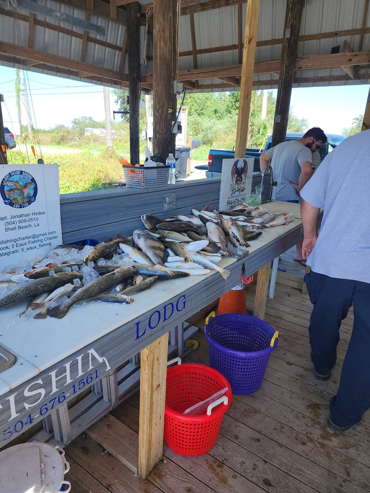 Speckled Trout Slam In Saint Bernard