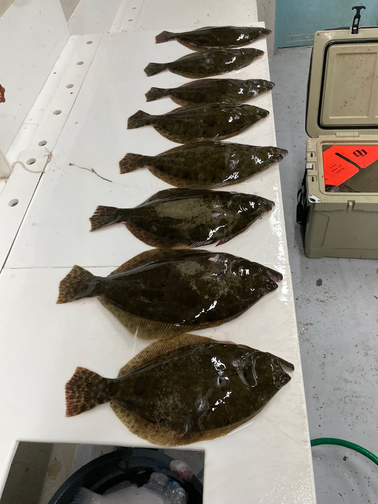 Port Aransas Flounder Gigging In Port Aransas