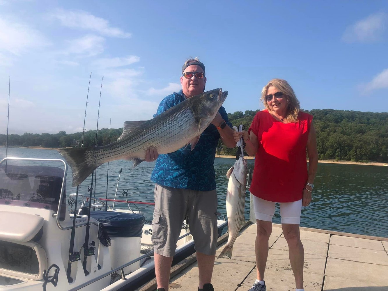 Striped Bass On Beautiful Beaver Lake In Rogers