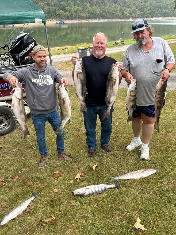 Striped Bass On Beautiful Beaver Lake In Rogers