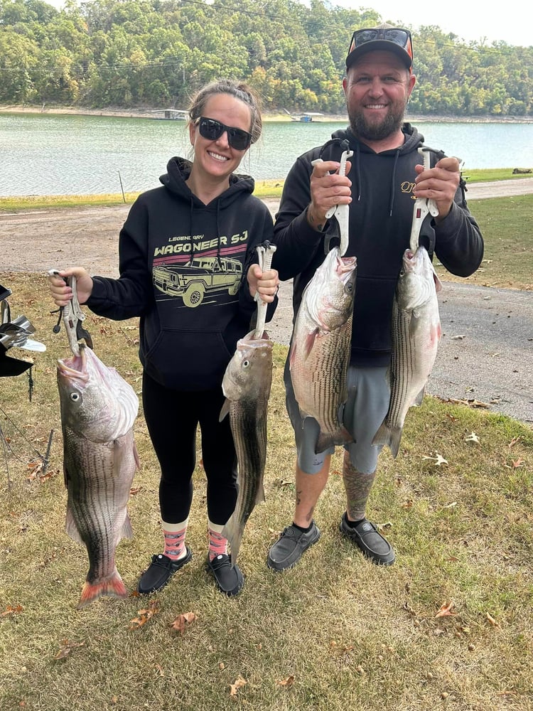 Striped Bass On Beautiful Beaver Lake In Rogers