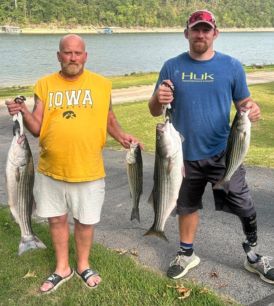 Striped Bass On Beautiful Beaver Lake In Rogers