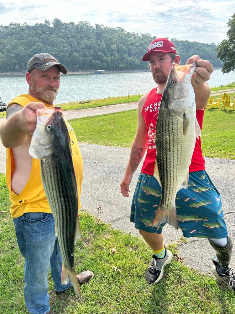 Striped Bass On Beautiful Beaver Lake In Rogers