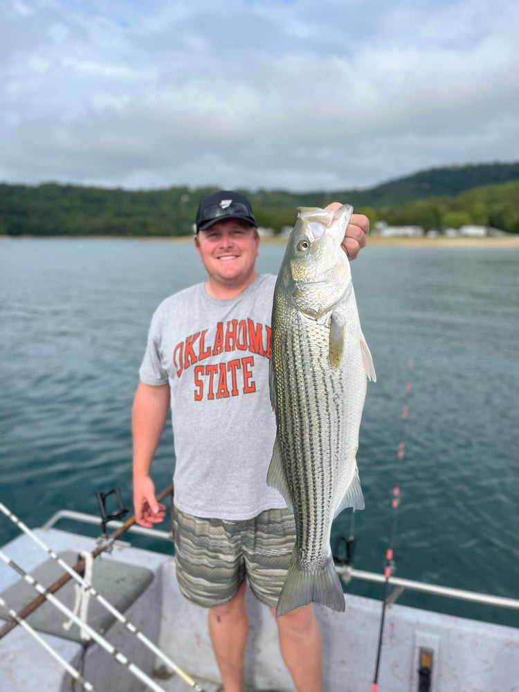 Striped Bass On Beautiful Beaver Lake In Rogers