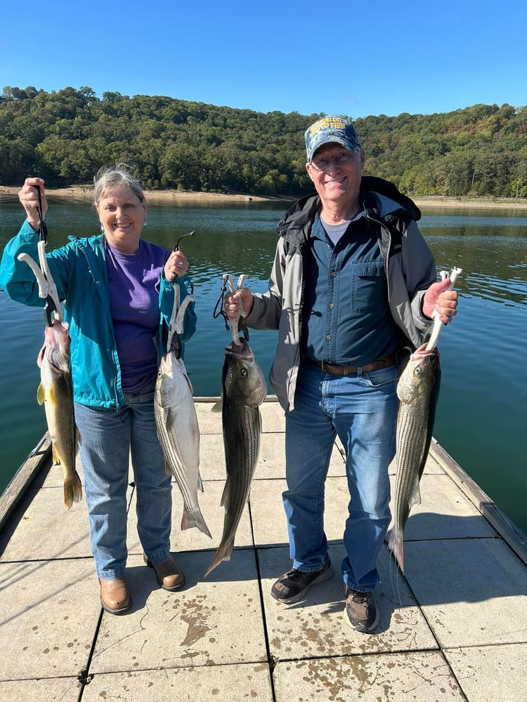 Striped Bass On Beautiful Beaver Lake In Rogers