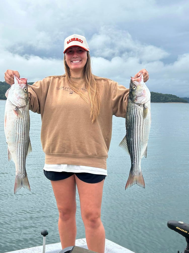 Striped Bass On Beautiful Beaver Lake In Rogers