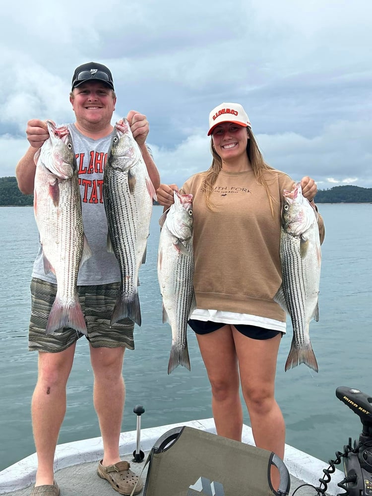 Striped Bass On Beautiful Beaver Lake In Rogers