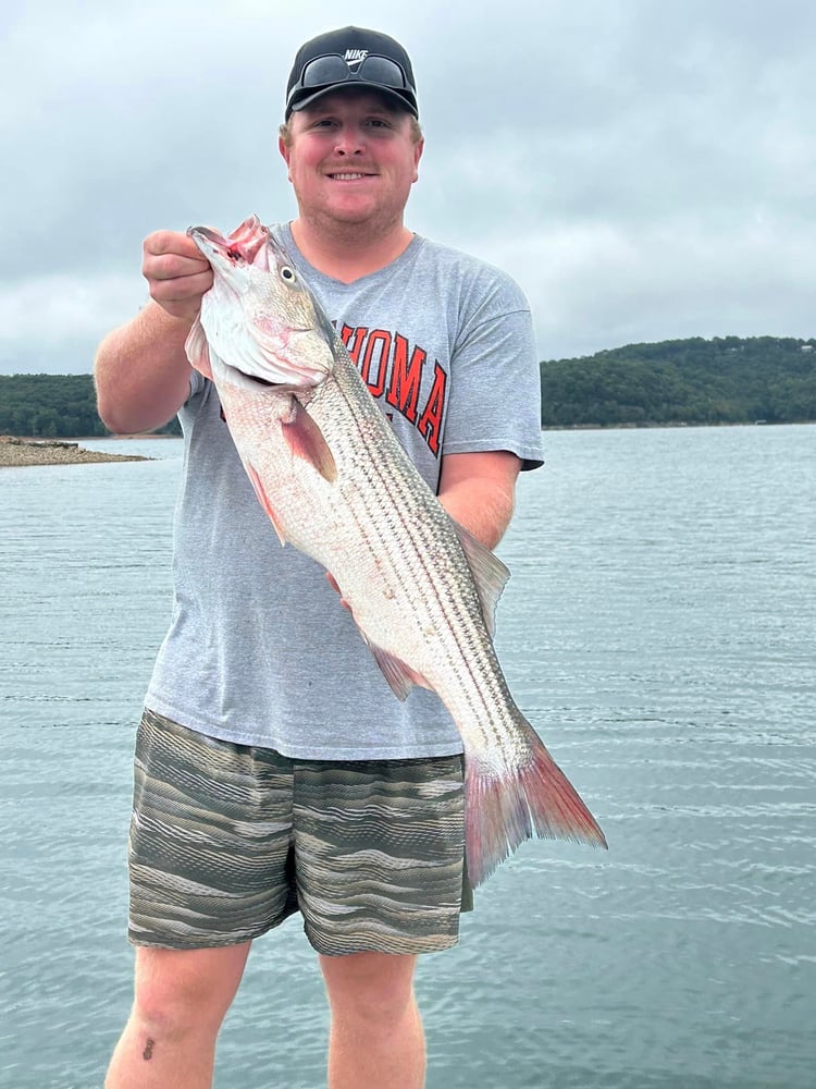 Striped Bass On Beautiful Beaver Lake In Rogers