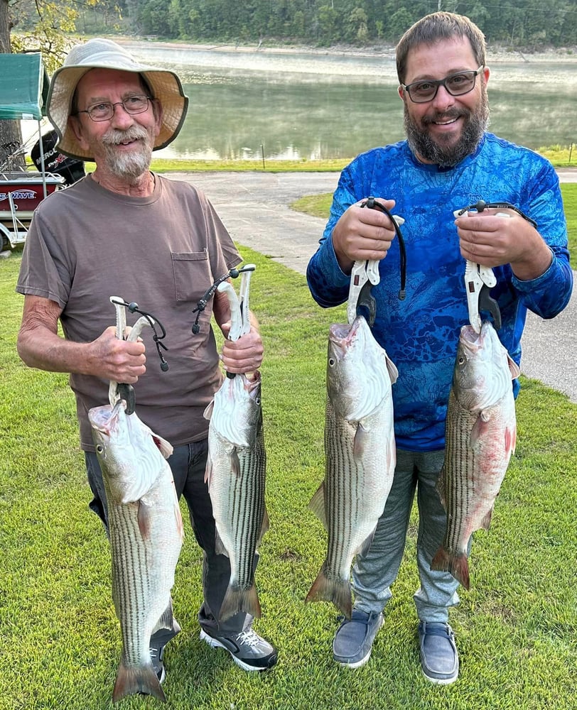 Striped Bass On Beautiful Beaver Lake In Rogers