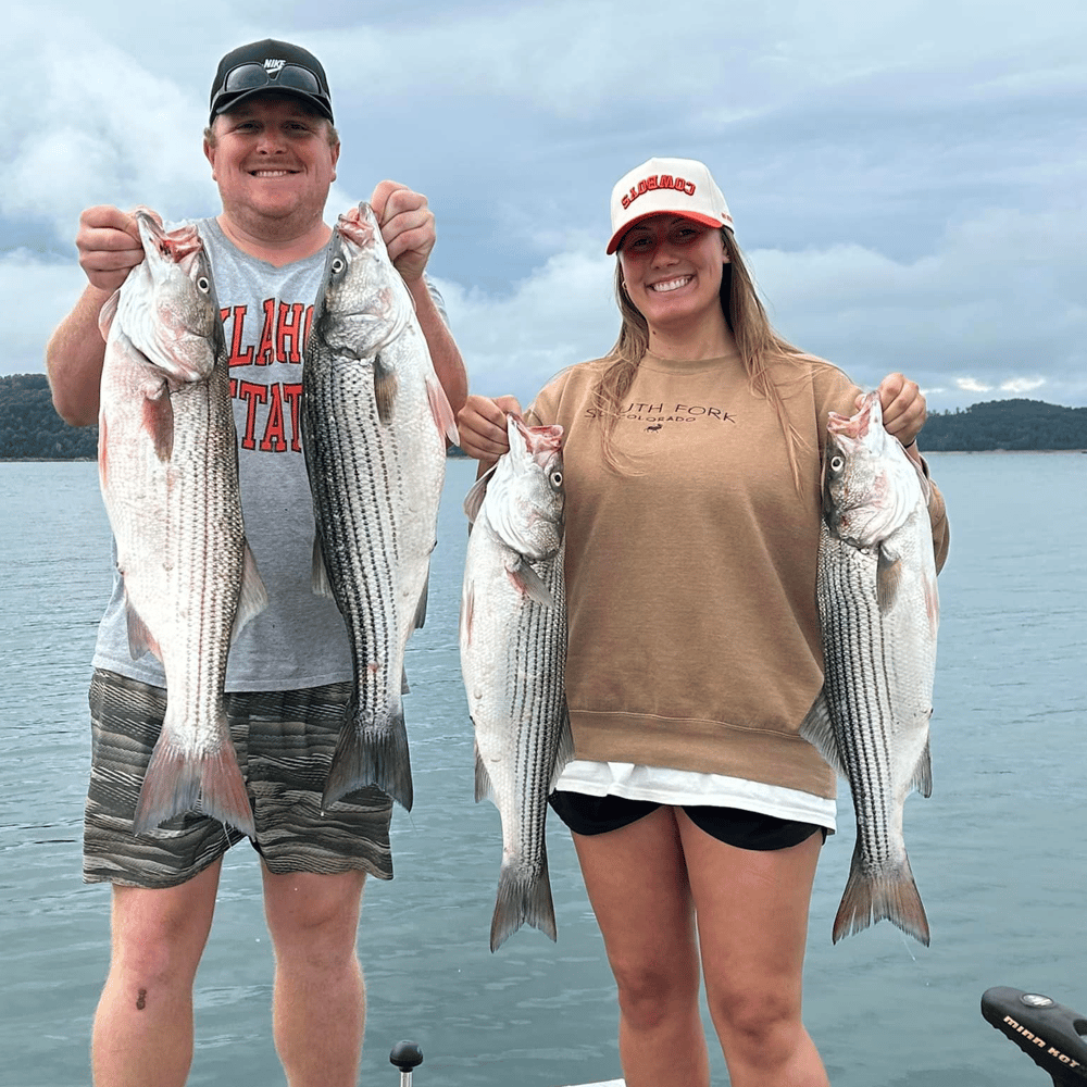 Striped Bass On Beautiful Beaver Lake In Rogers