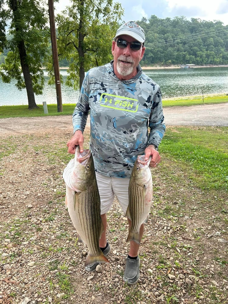 Striped Bass On Beautiful Beaver Lake In Rogers