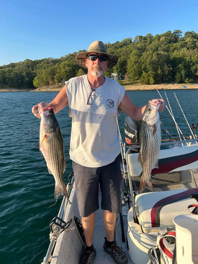 Striped Bass On Beautiful Beaver Lake In Rogers