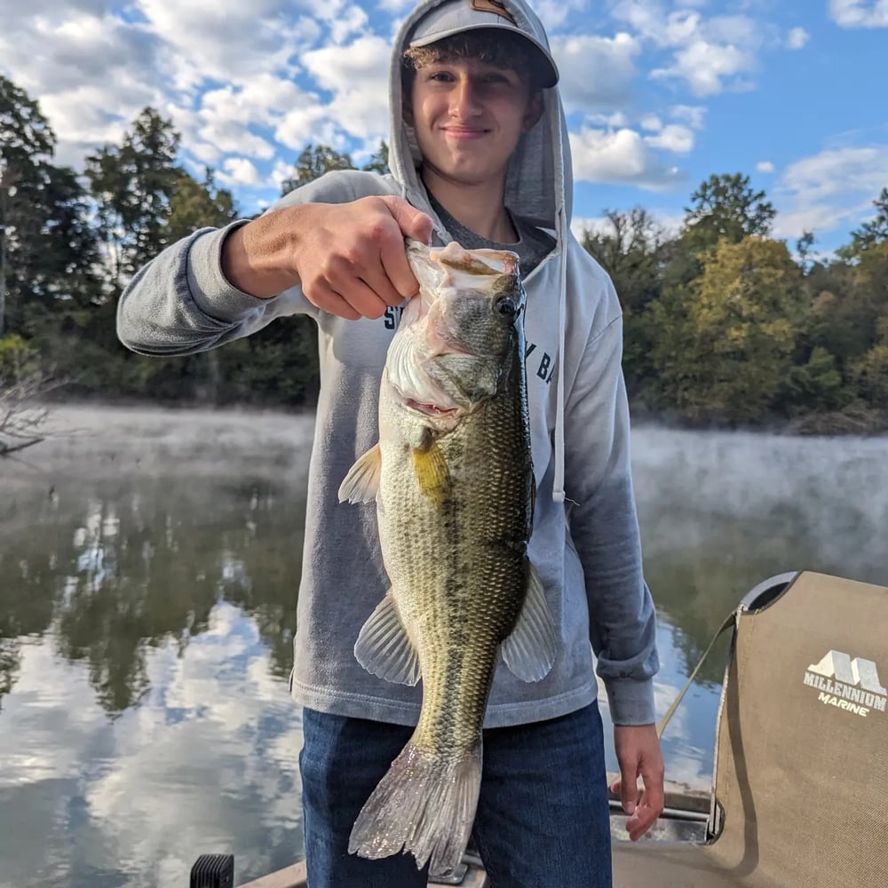 Eastern TN Smallmouth Float Trips In Sevierville