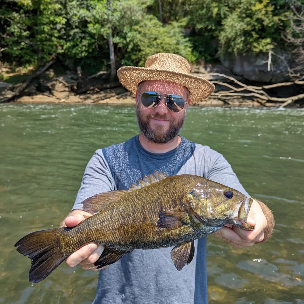 Eastern TN Smallmouth Float Trips In Sevierville