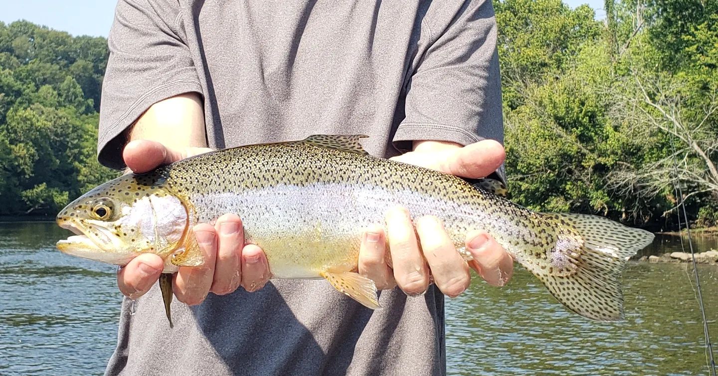 Eastern TN Trout Float Trips In Sevierville