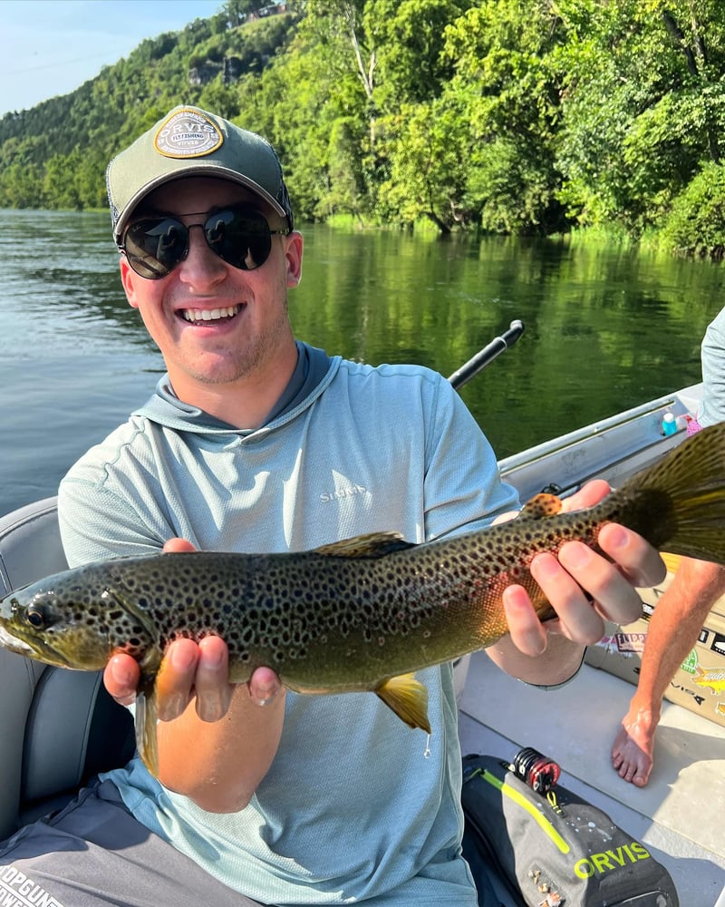 Ozark Fly Fishing Day Trips In Flippin