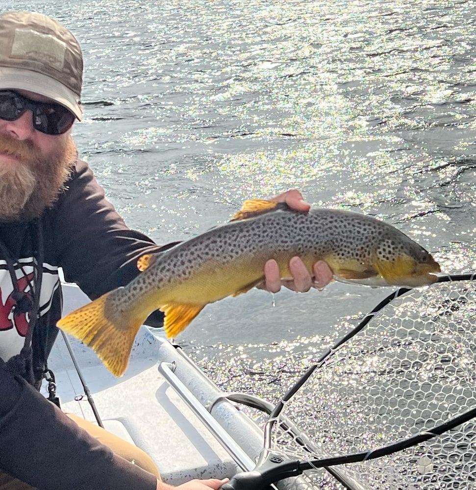 Ozark Fly Fishing Day Trips In Flippin